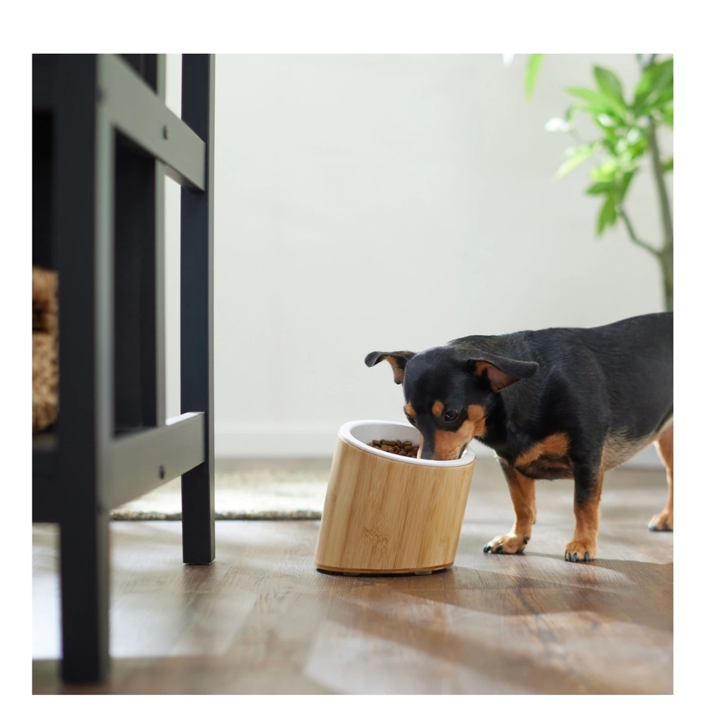 Bamboo and Cream Bowl